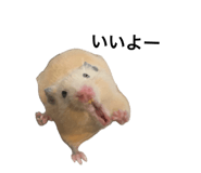837065848