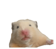 837065855