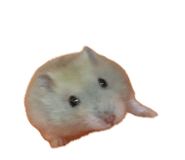 837065856