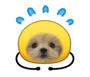 837065979