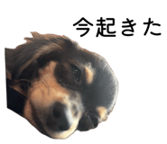 837068745