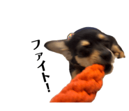 837068750
