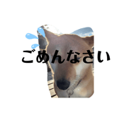 837069222