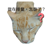 837074115