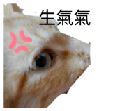 837074119