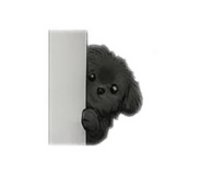 837075797