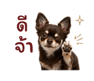 837079932