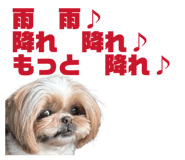 837082521