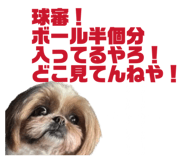 837082534
