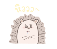 837088216
