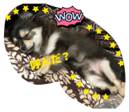 837088360