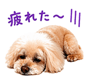 837090837
