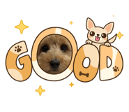 837090992