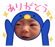 837091136
