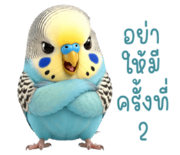 ❤️นกหงส์หยก ตัวตึง❤️ รูปที่ 7