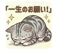 837093684