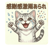 837093706