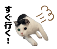 837094792