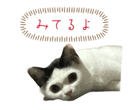 837094794