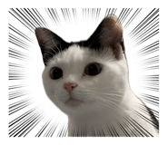 837094800