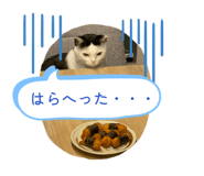 837094803