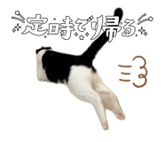 837094806