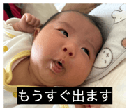 837096376