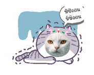 837096435