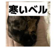837096639