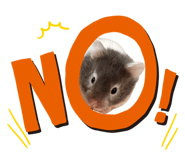 837097464