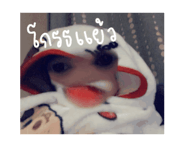 837099231