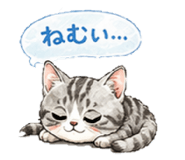 837099317