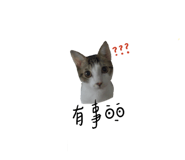 837099547