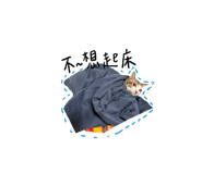 837099549