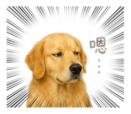 837099966