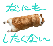 837100441