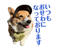 837100444