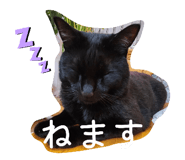 837100678