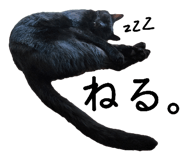 837100681