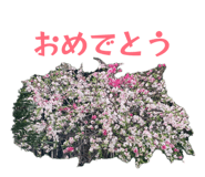 837101854