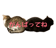 837101855