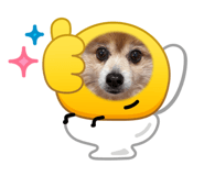 837124494