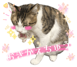 837138748
