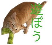 837162503
