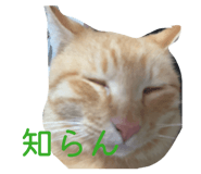 837162505