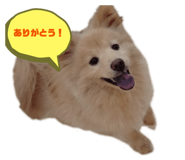 837183684