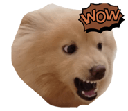 837183685