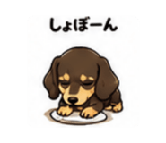 837184180