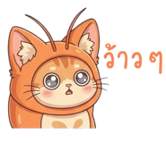 837186568