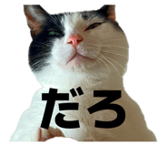 837208713